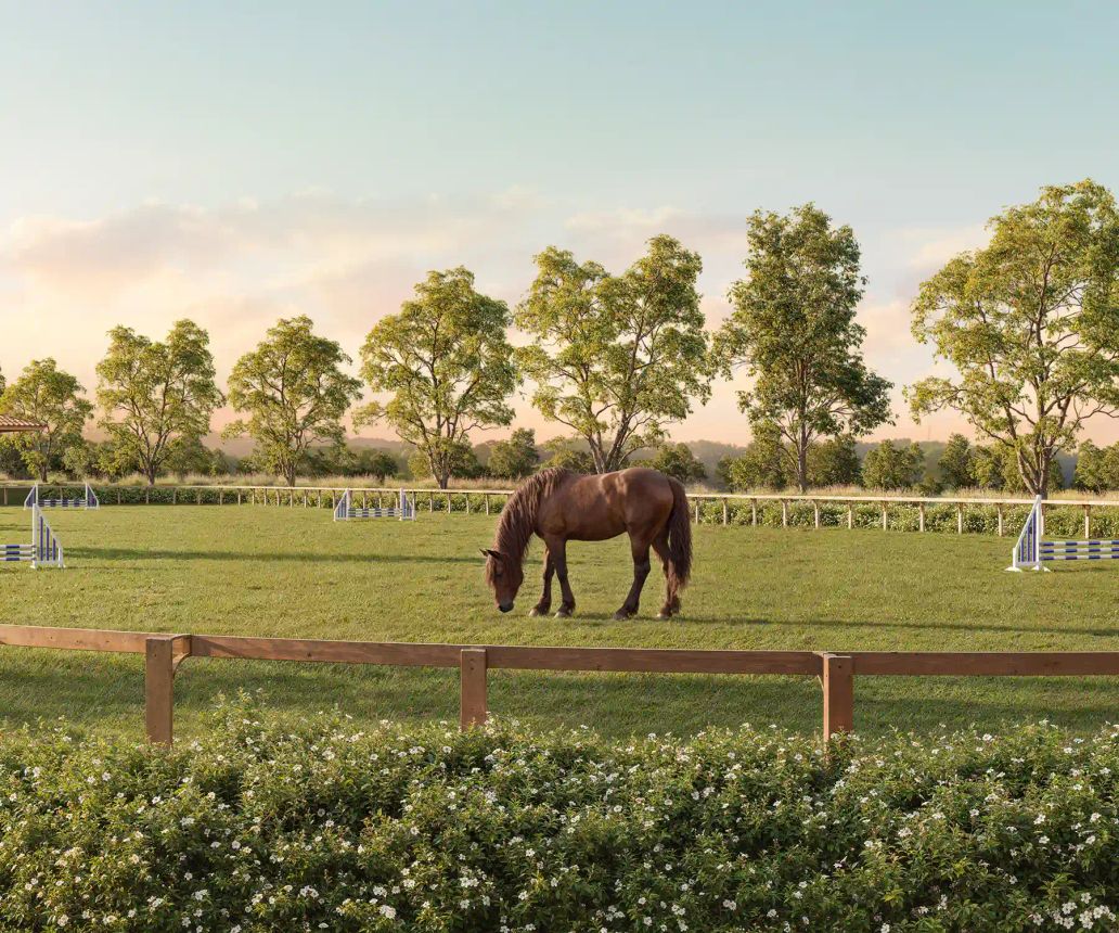 Cavalo pastando em piquete gramado, com pista de obstáculos e arvoredo ao fundo
